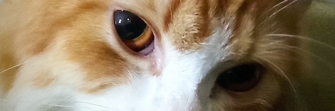 wsigit69's profile banner image