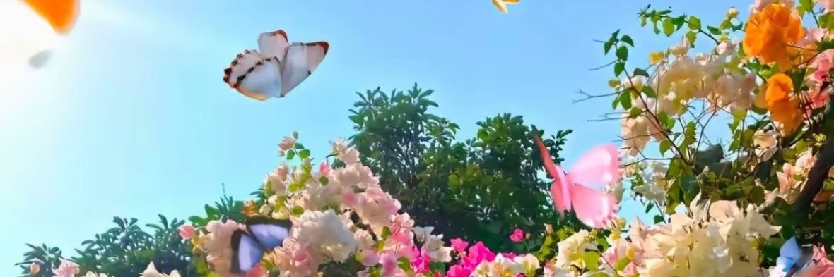 yeeex0317's profile banner image