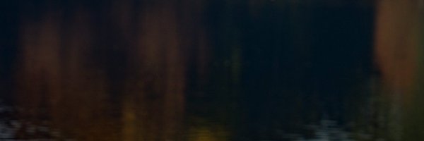 Fiorittek Profile Banner