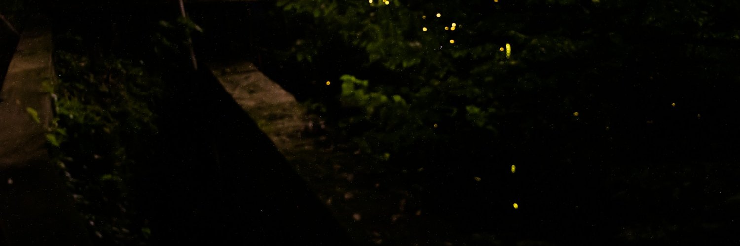 daaashymoo's profile banner image