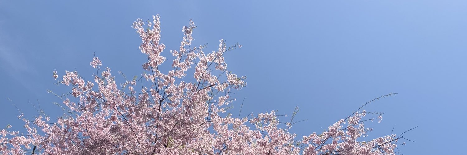 yuria_s_sub's profile banner image