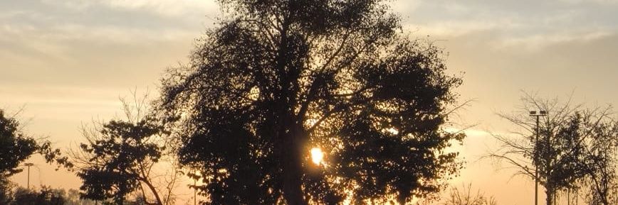 LiteeshTweets's profile banner image
