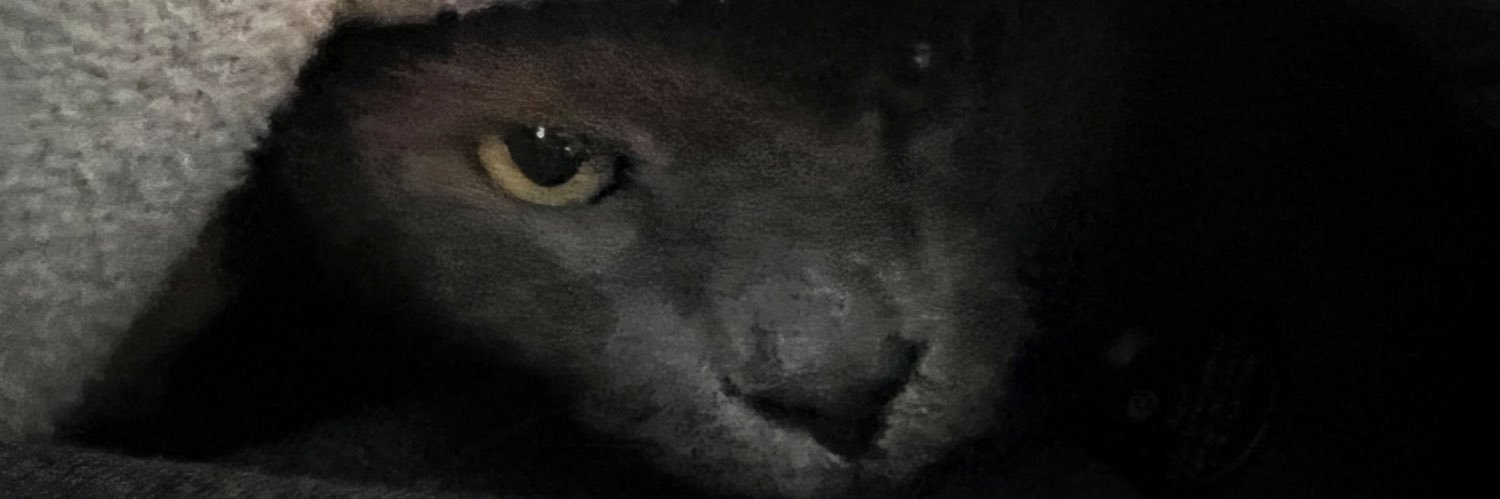 PaladinCML's profile banner image