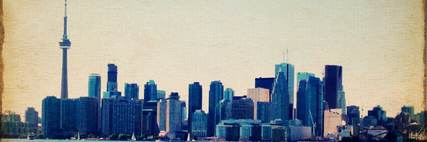 suebertin's profile banner image