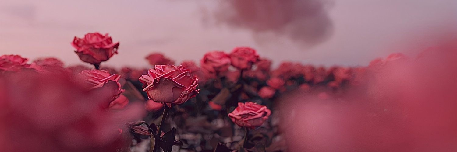 小赵爱吃德芙(白丝) banner