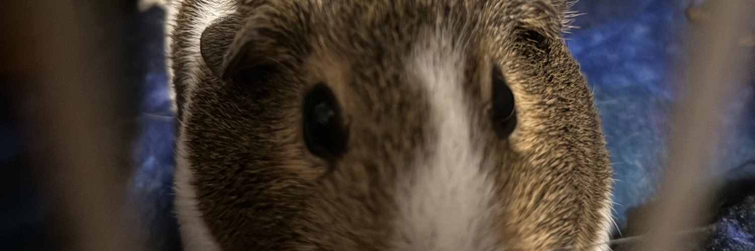 callmebyash's profile banner image
