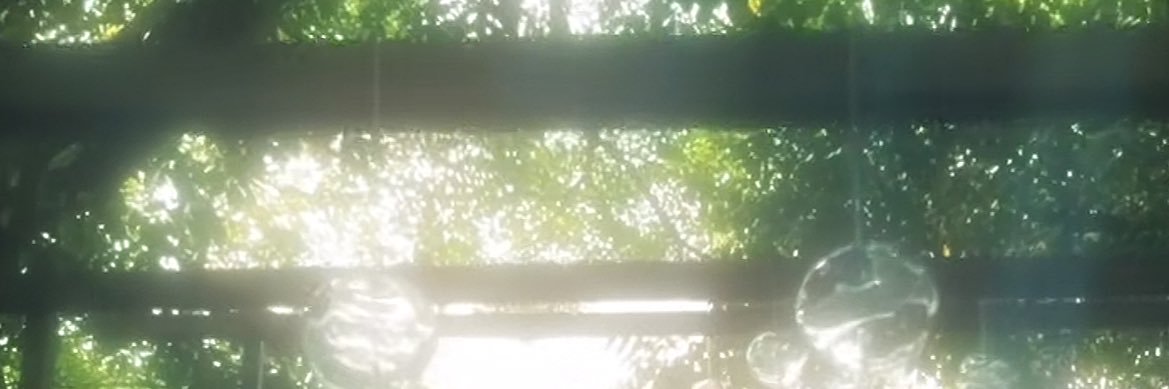 Ema_san7's profile banner image