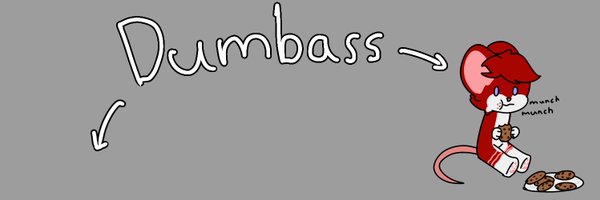 SunnyAxolotl Profile Banner