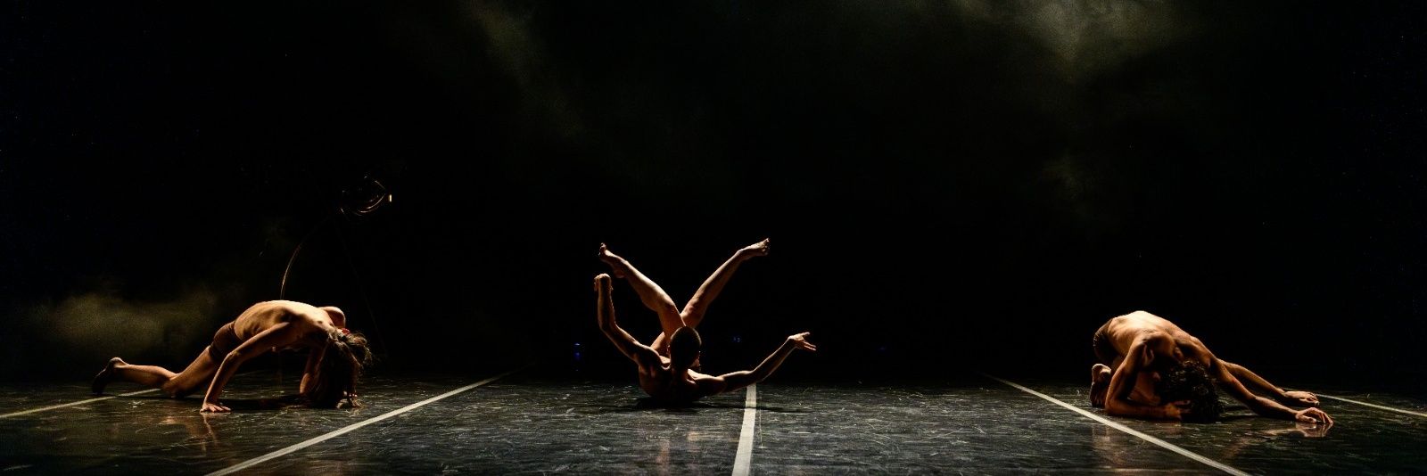 Violeta Borruel banner