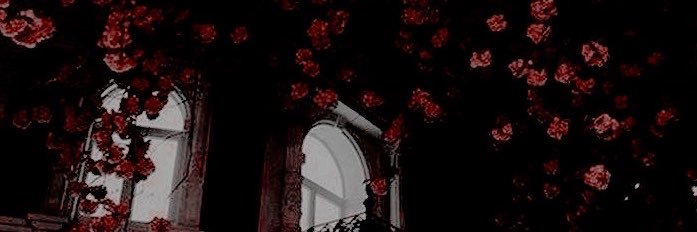 beIIadonnas_'s profile banner image