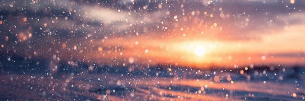 jenlitton Profile Banner