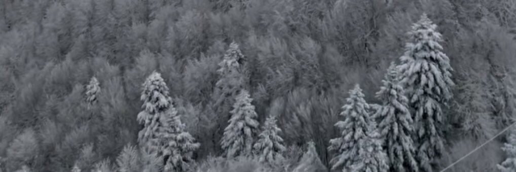 mpoliticoo's profile banner image