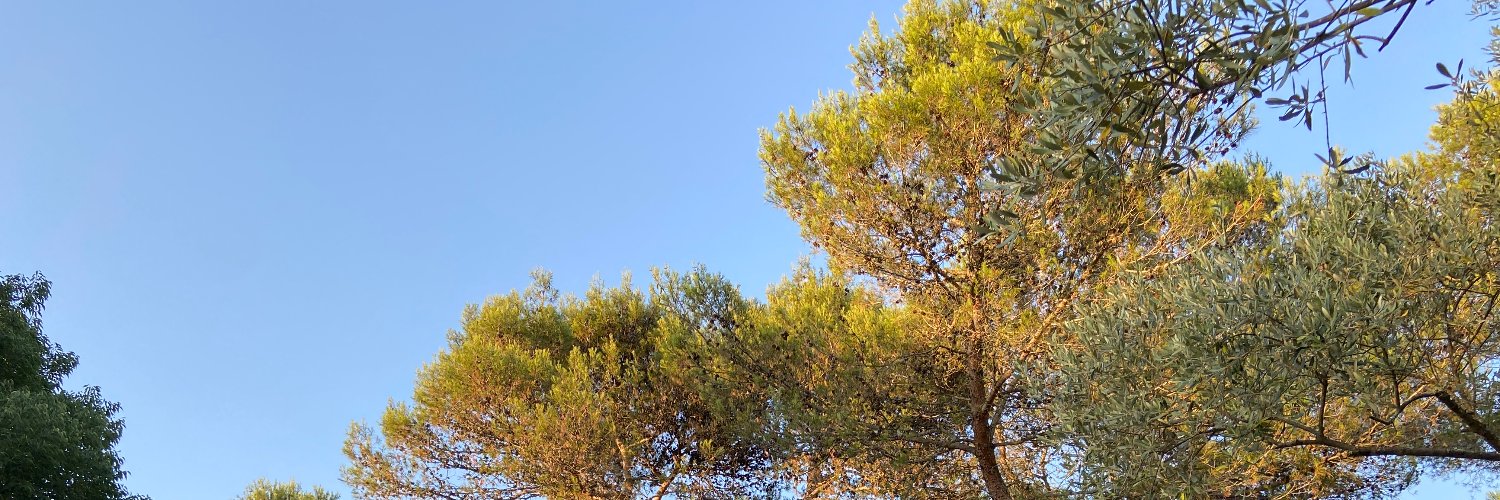 Frédéric Julliard banner