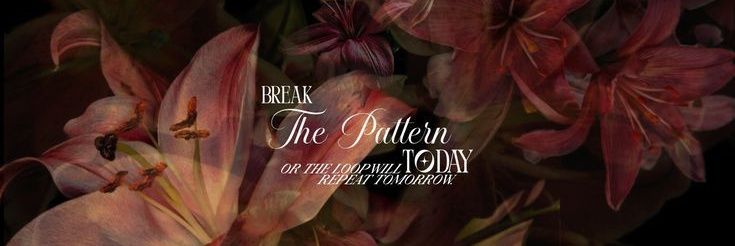 salsa𓍢²⁷ free tag 🌳☃️ banner