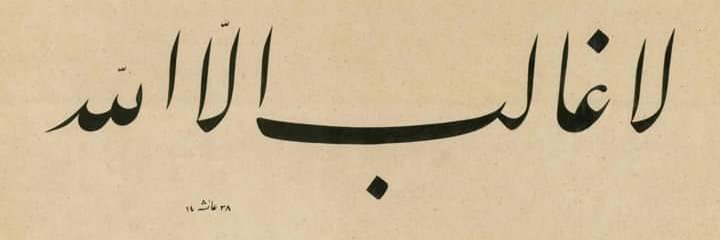 selmaeksi's profile banner image