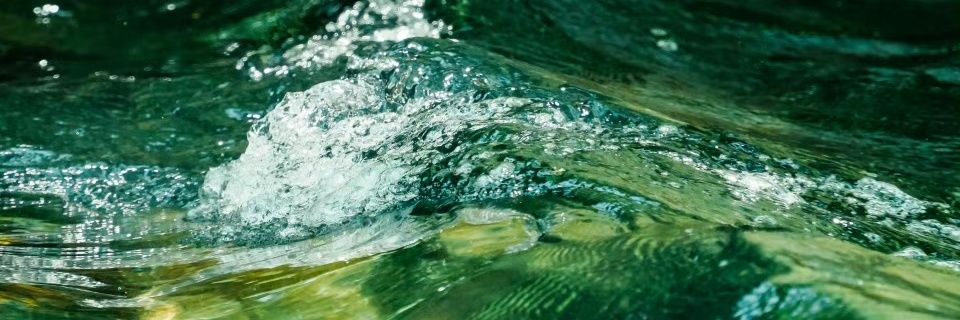 Xyyyyy_XY's profile banner image