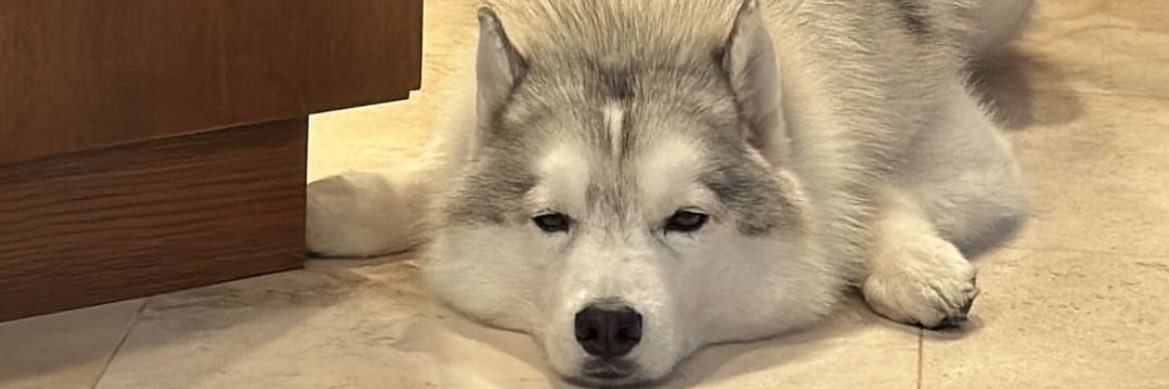 𝑀𝑎𝑡𝑖𝑛 banner