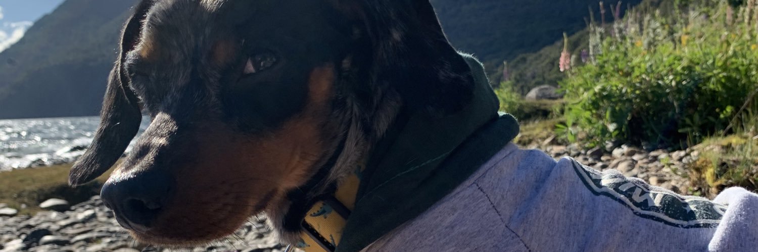 aguspugliese's profile banner image