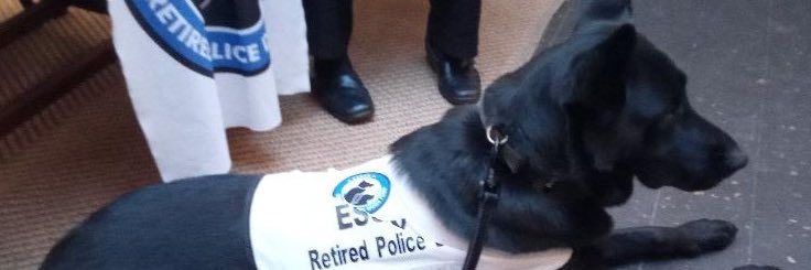 ♥Mim♥ מרים 🇬🇧 🎗️ banner