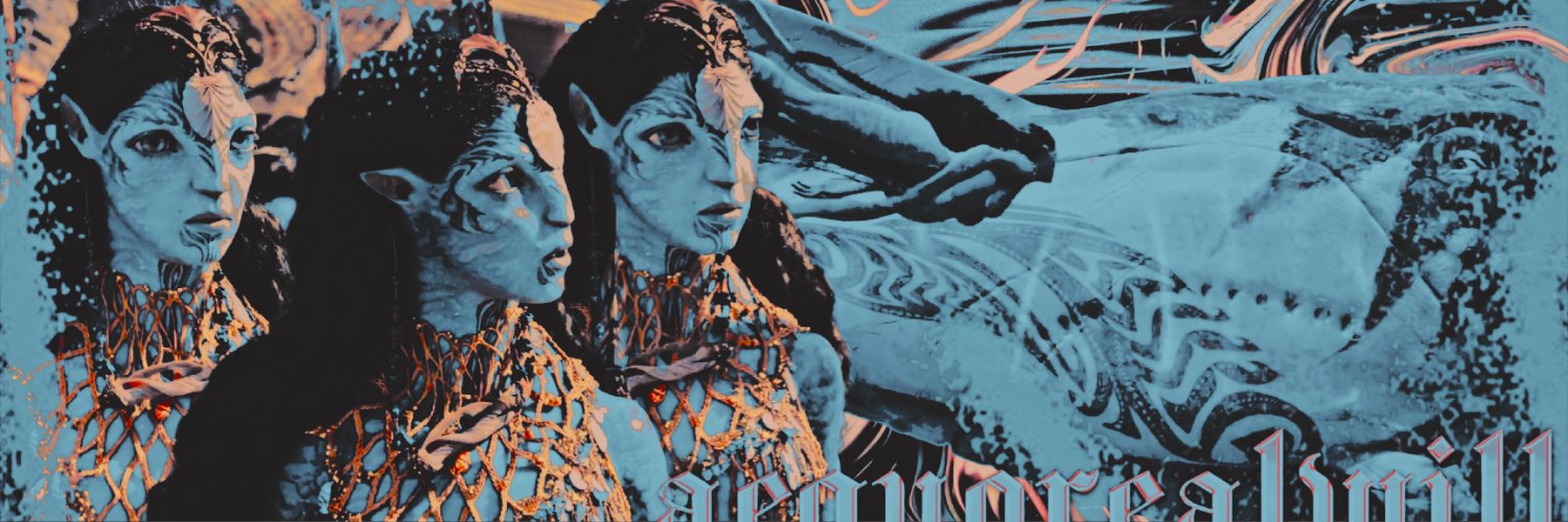 ‍ ‍ ‍ ‍＊‍ ‍ ‍ ‍ℜ𝙾𝙽𝙰𝙻 . banner