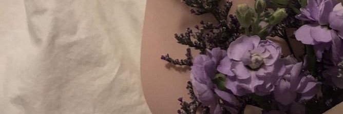 wocy1v's profile banner image