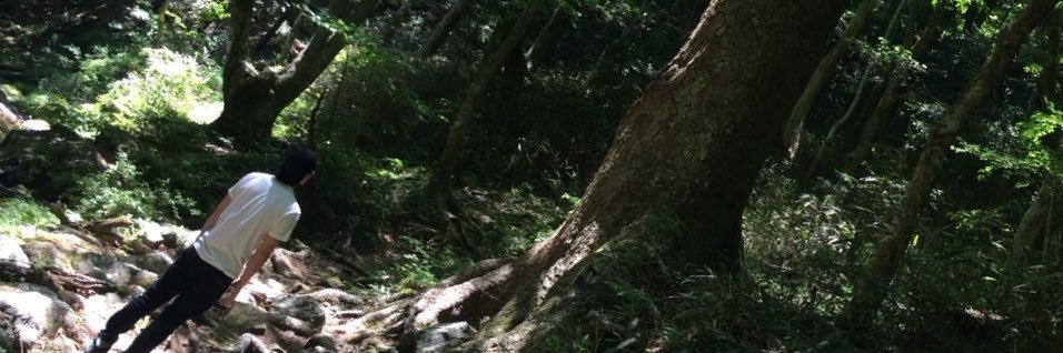 ゴリラが帰ってくる banner