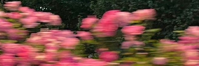raaee_777's profile banner image