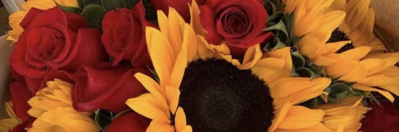 Briittany97's profile banner image