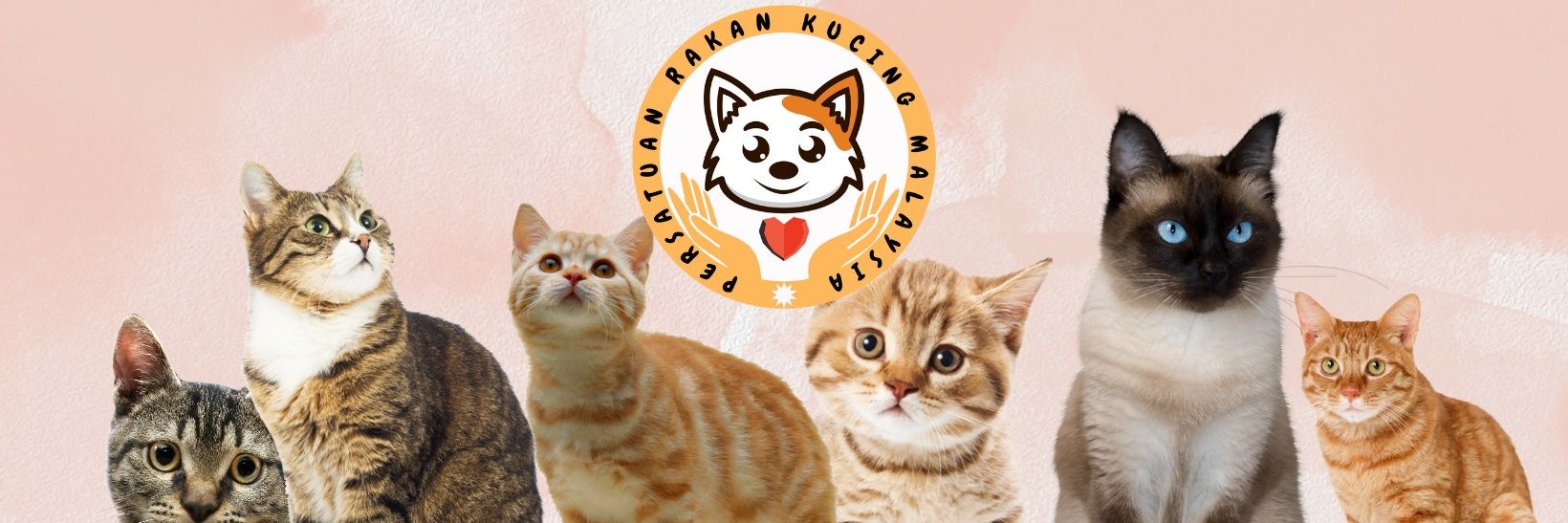 rakankucing's profile banner image