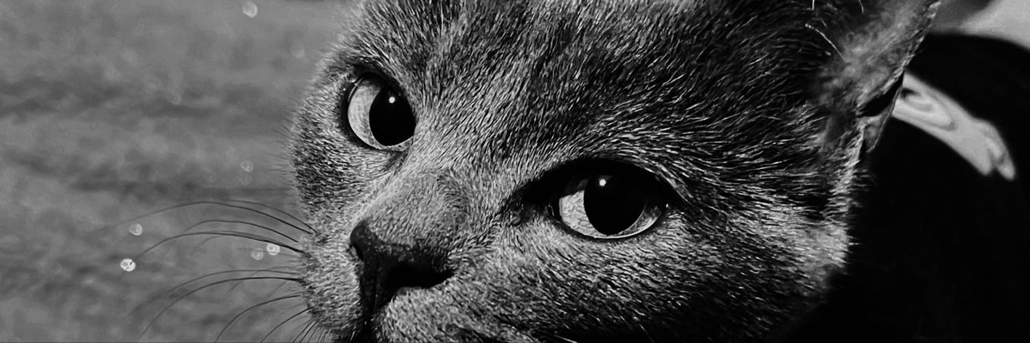 nizerkams's profile banner image