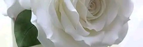 eri28040's profile banner image