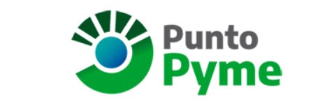 PuntoPyme banner