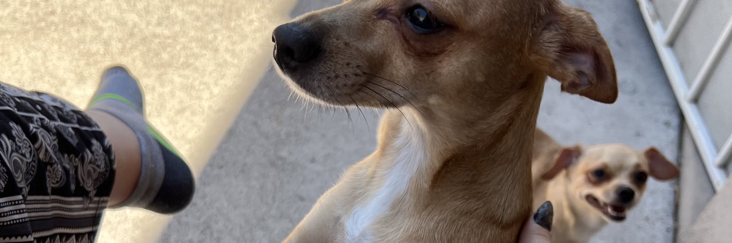 ⋆♱✮♱⋆☽sKele⋆♱✮♱⋆ banner