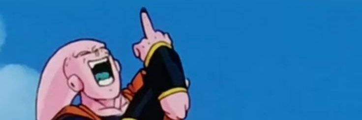 Ari banner