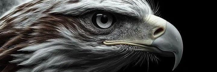 Realwajdan's profile banner image