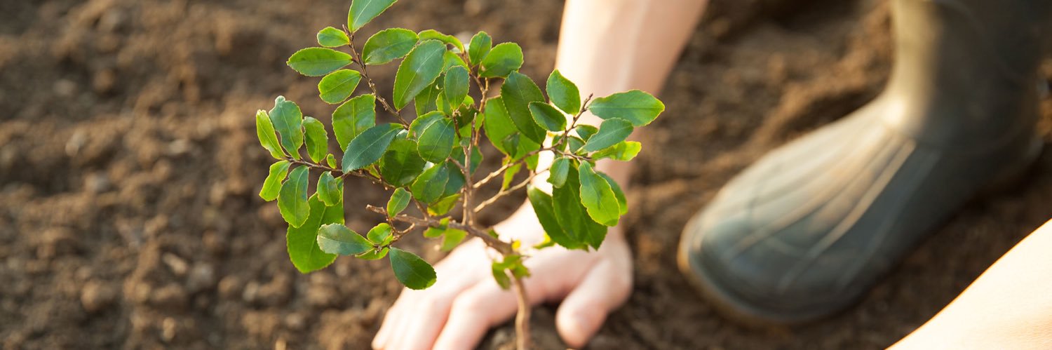 A Climate Change with Matt Matern banner