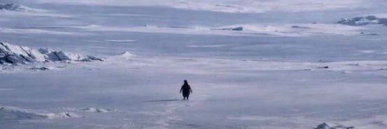 ah bob bob bob 💹🧲💰🔶BNB banner