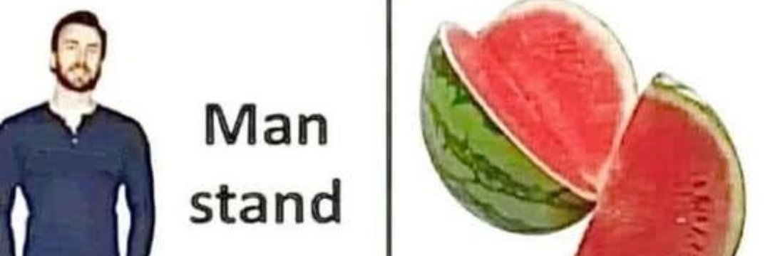 L202465481's profile banner image
