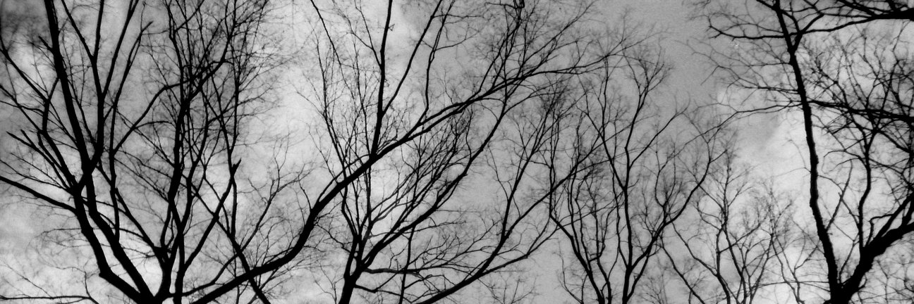 くりはらみさき banner