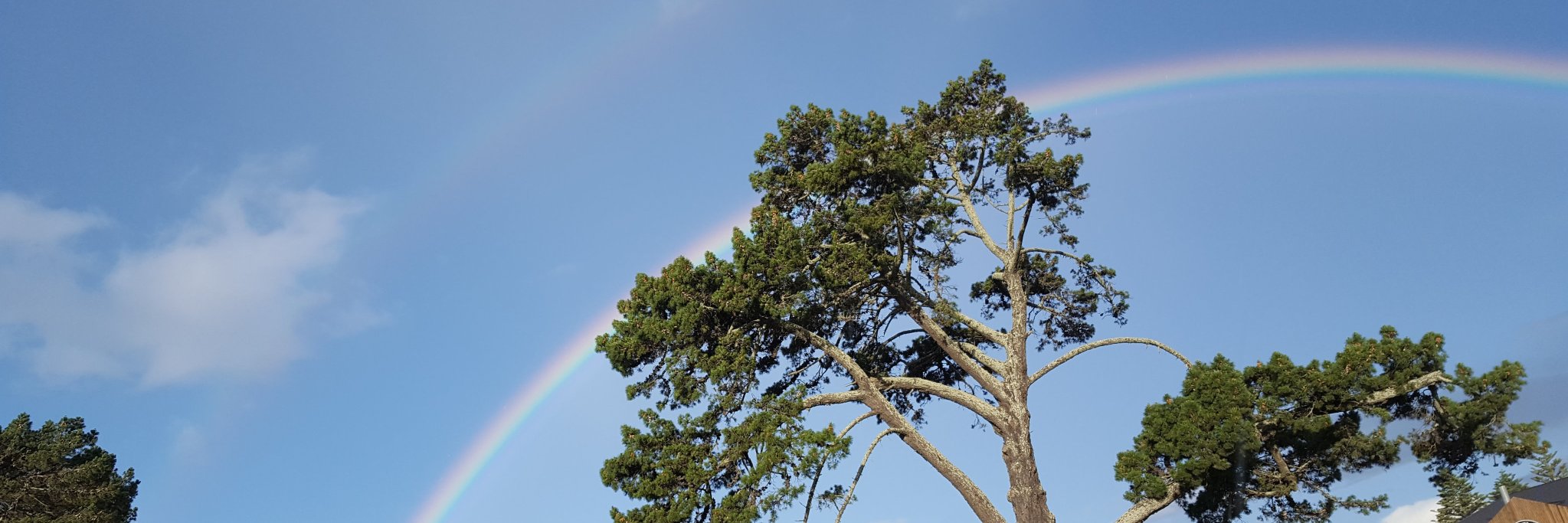 magpiekate's profile banner image