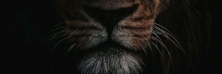 emmanuelabi_'s profile banner image