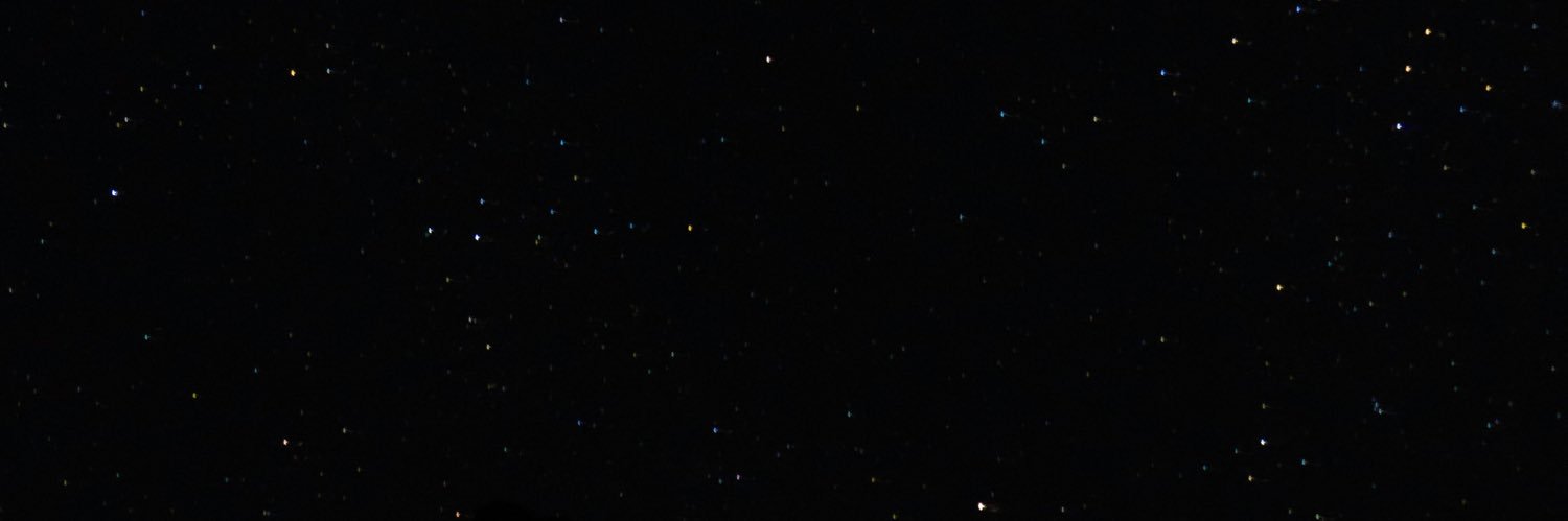 rex banner