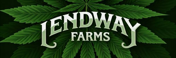 LendLar01 Profile Banner