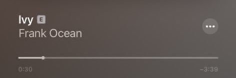 iel banner