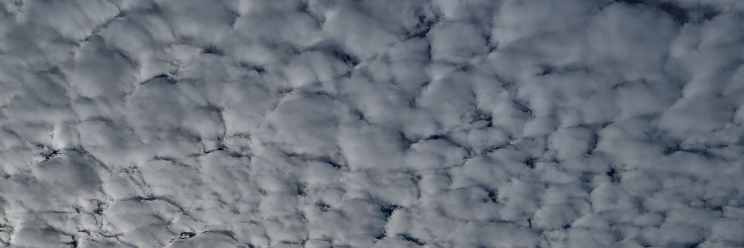 master_tk1017's profile banner image