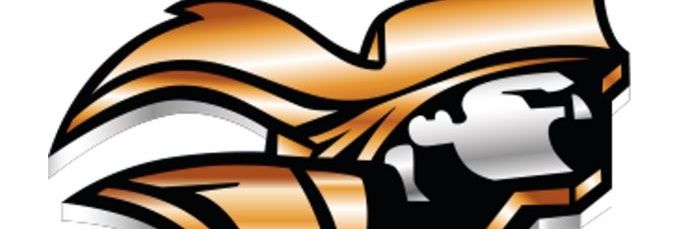 Fort Calhoun Volleyball banner