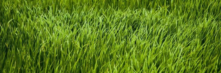 tracyfm's profile banner image