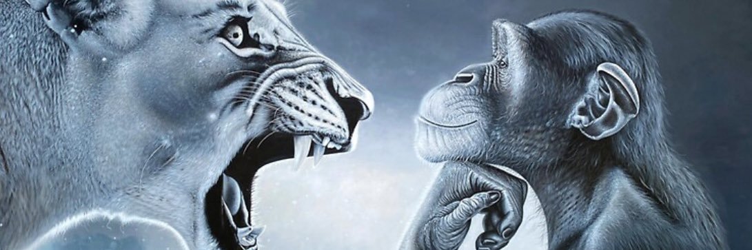 CMada53338's profile banner image