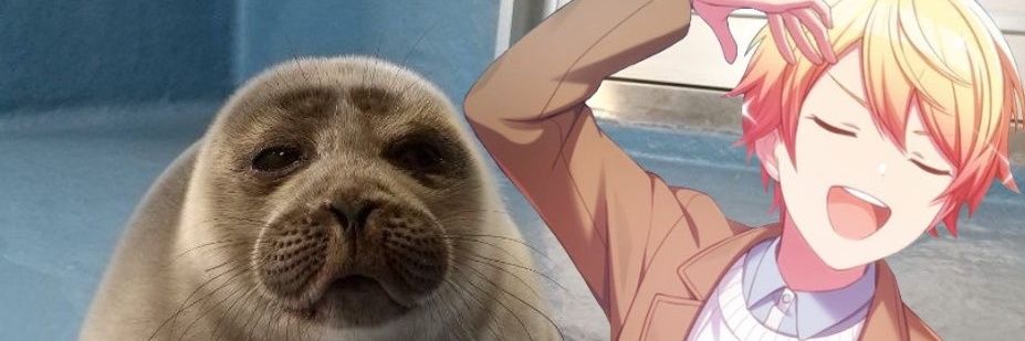 sealsbigbro's profile banner image