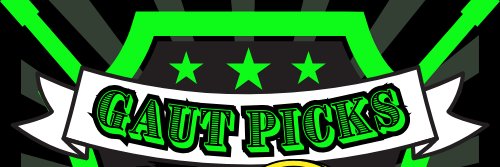 GaUtPicks's profile banner image